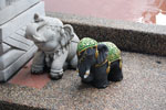 2010-11-20_17-00-26_DSC_1887.jpg