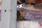 2010-11-21_16-40-54_DSC_1930.jpg