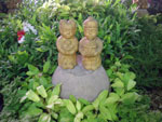 2010-11-22_17-16-44_IMGP4449.jpg