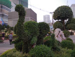 2010-11-22_18-02-44_IMGP4460.jpg