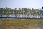 2010-11-23_12-44-25_DSC_2132.jpg