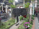 2010-11-23_21-35-32_IMGP4489.jpg