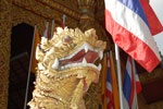 2010-11-24_14-34-10_DSC_2161.jpg