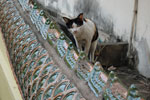 2010-11-24_14-55-19_DSC_2191.jpg