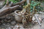 2010-11-24_15-02-22_DSC_2201.jpg