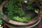 2010-11-24_15-55-18_DSC_2226.jpg