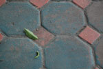 2010-11-24_16-08-13_DSC_2236.jpg