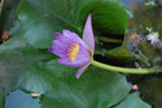 2010-11-24_16-08-29_DSC_2237.jpg