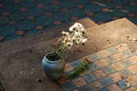2010-11-24_16-09-49_DSC_2241.jpg