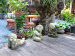 2010-11-24_16-13-31_DSCF1039.jpg