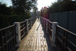 2010-11-24_16-24-10_DSC_2243.jpg