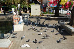 2010-11-25_14-43-46_DSC_2259.jpg