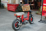 2010-11-25_16-03-26_DSC_2305.jpg