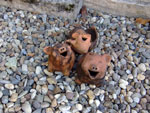 2010-11-25_16-05-15_DSCF1077.jpg