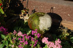 2010-11-25_16-10-06_DSC_2306.jpg