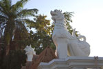 2010-11-25_16-26-54_DSC_2314.jpg