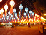 2010-11-25_20-35-32_IMGP4510.jpg