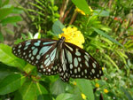 2010-11-26_10-04-56_IMGP4524.jpg