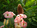 2010-11-26_10-07-38_IMGP4530.jpg