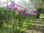 2010-11-26_10-09-58_IMGP4537.jpg