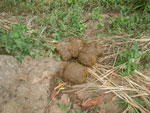 2010-11-26_11-14-26_IMGP4543.jpg