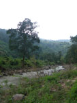 2010-11-26_11-21-18_IMGP4552.jpg