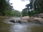 2010-11-26_11-57-34_IMGP4585.jpg
