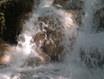 2010-11-26_12-55-08_IMGP4626.jpg