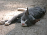 2010-11-26_13-28-38_IMGP4653.jpg