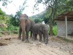 2010-11-26_14-51-26_IMGP4717.jpg