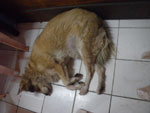 2010-11-27_14-20-01_IMGP4776.jpg