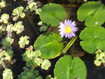 2010-11-28_14-02-05_DSCF1107.jpg