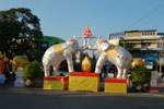 2010-11-28_16-29-48_DSC_2412.jpg