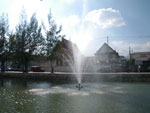 2010-11-29_14-36-07_IMGP4787.jpg