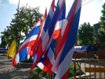 2010-11-29_14-37-43_IMGP4790.jpg