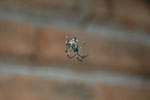 2010-11-29_20-50-10_DSC_2643.jpg
