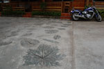 2010-12-01_07-52-25_DSC_2735.jpg