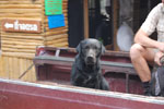 2010-12-01_08-09-47_DSC_2738.jpg