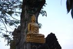 2010-12-03_16-52-24_DSC_3023.jpg
