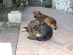 2010-12-03_17-07-45_DSCF1200.jpg