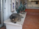 2010-12-04_14-51-31_IMGP4988.jpg