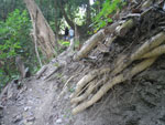 2010-12-04_16-53-20_IMGP5046.jpg