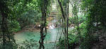 2010-12-04_16-54-00_IMGP5047-pan.jpg