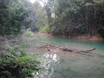 2010-12-04_17-00-20_IMGP5065.jpg