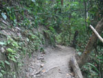 2010-12-04_17-03-39_IMGP5067.jpg