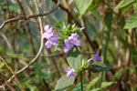 2010-12-05_14-40-46_DSC_3178.jpg