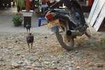 2010-12-08_16-28-15_DSC_3409.jpg