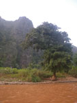 2010-12-10_16-35-42_IMGP5260.jpg