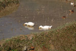 2010-12-19_10-47-06_DSC_4237.jpg