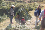 2010-12-19_13-40-43_DSC_4329.jpg